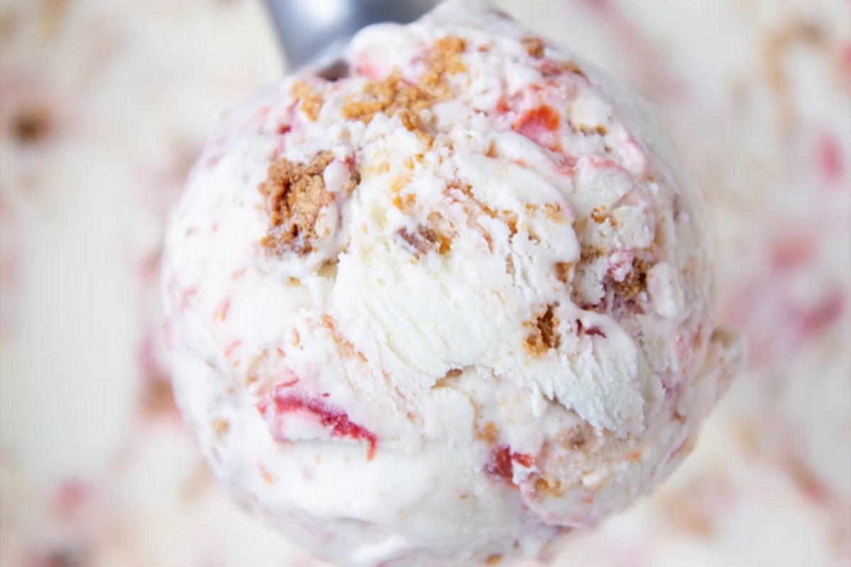 Molly moons homemade ice cream
