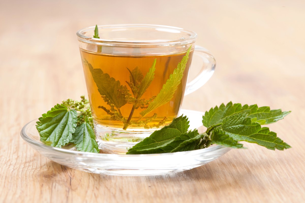 Nettle tea