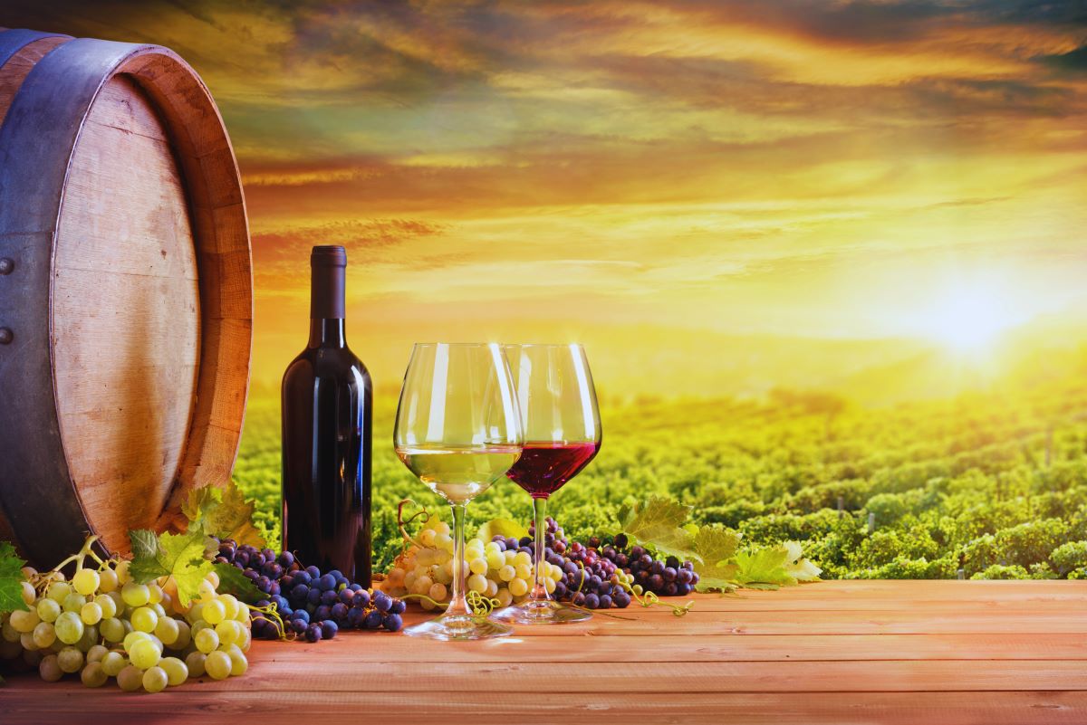 Oak tasty wine