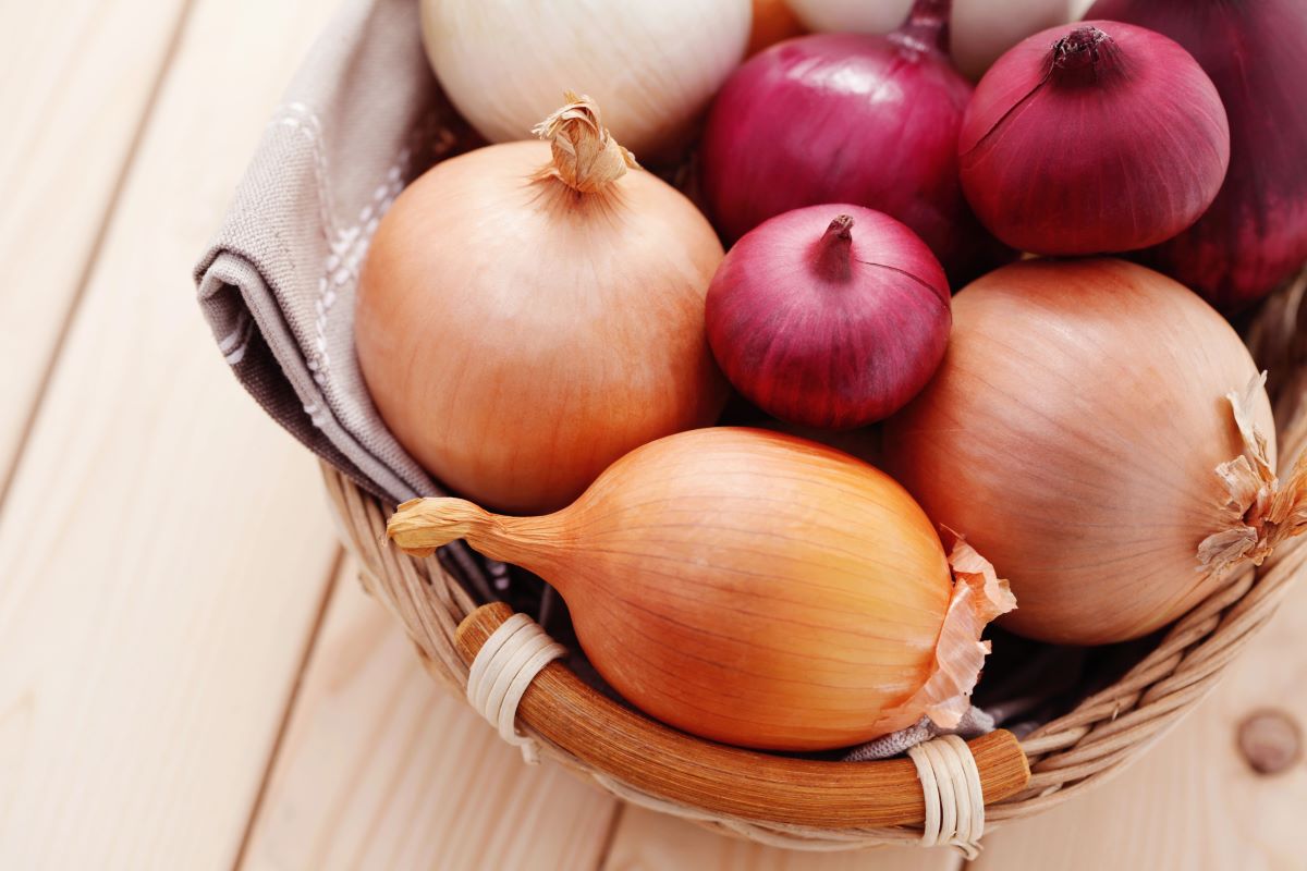 Onions 2