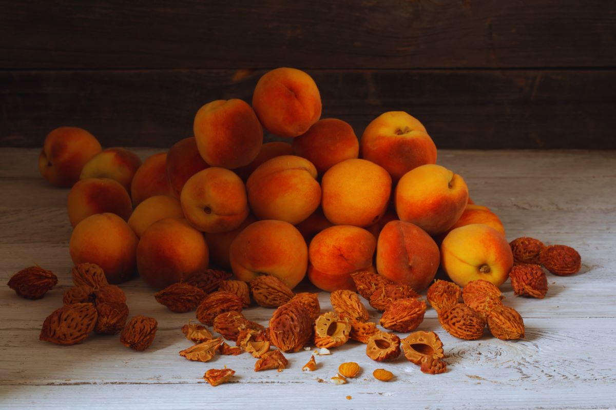Peach pitspuhimec