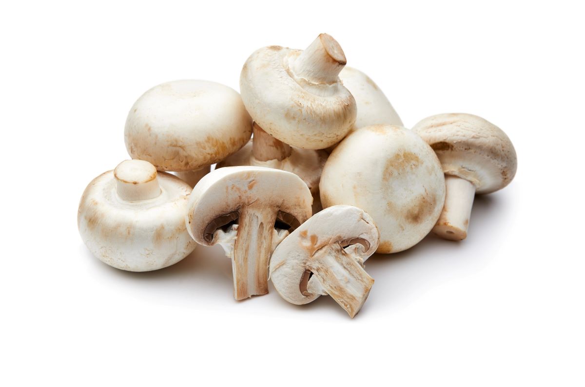 Processed Mushroom Toppings