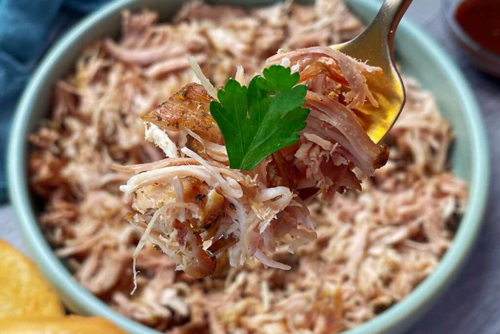 leftover pulled pork ideas