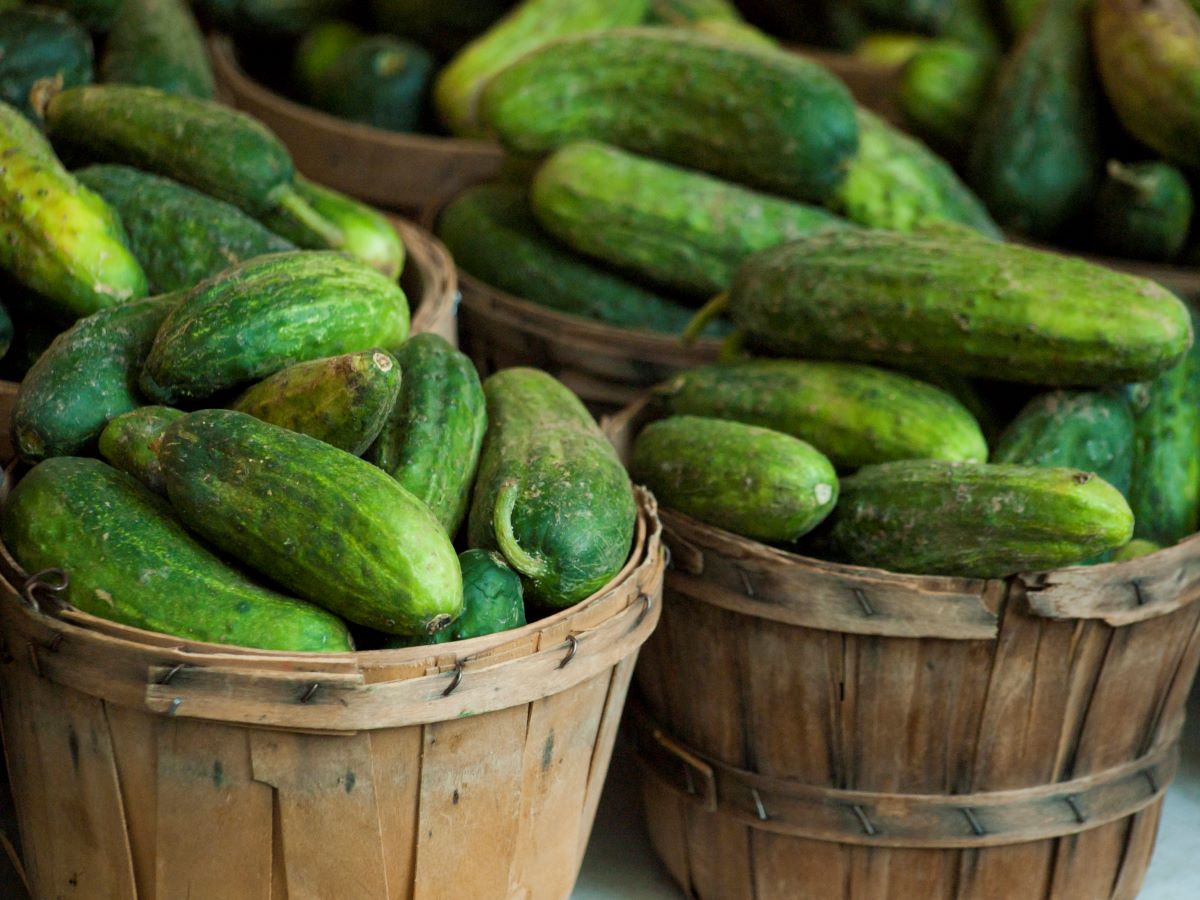Ranch Pickles