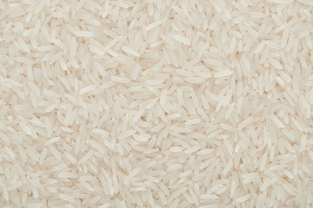 Rice