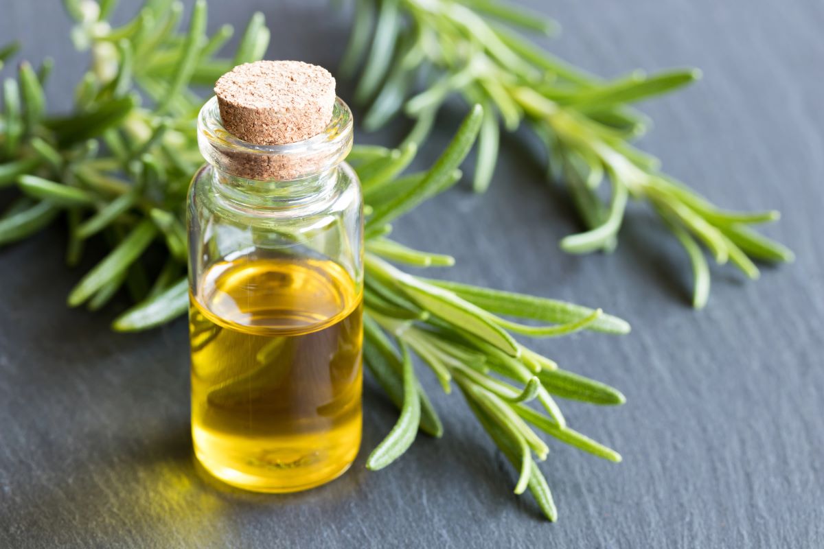 Rosemary