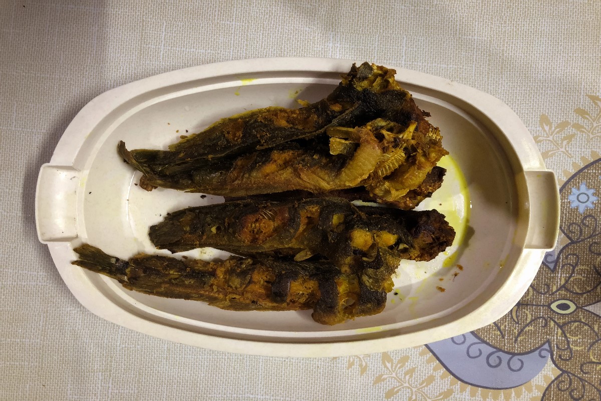 Smoked catfish meal