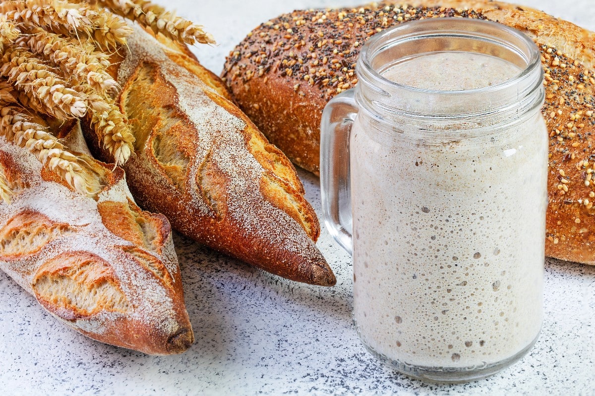 Sourdough starter and bread