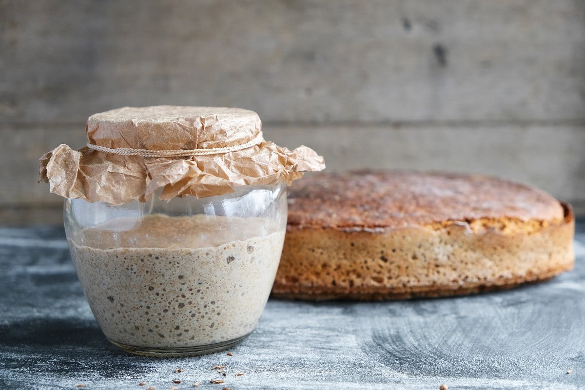 Sourdough starter in artisan bakery