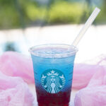 Summer Berry Refresher Starbucks Copycat Recipe