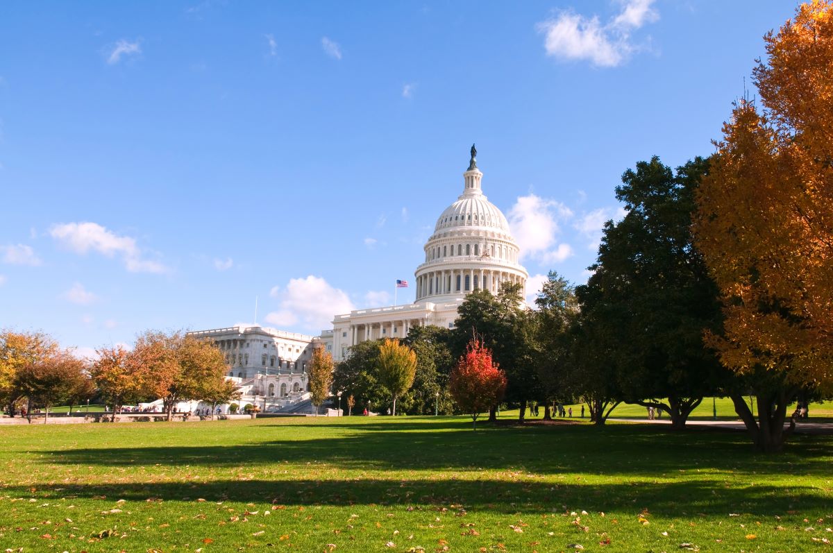 Washington D.C