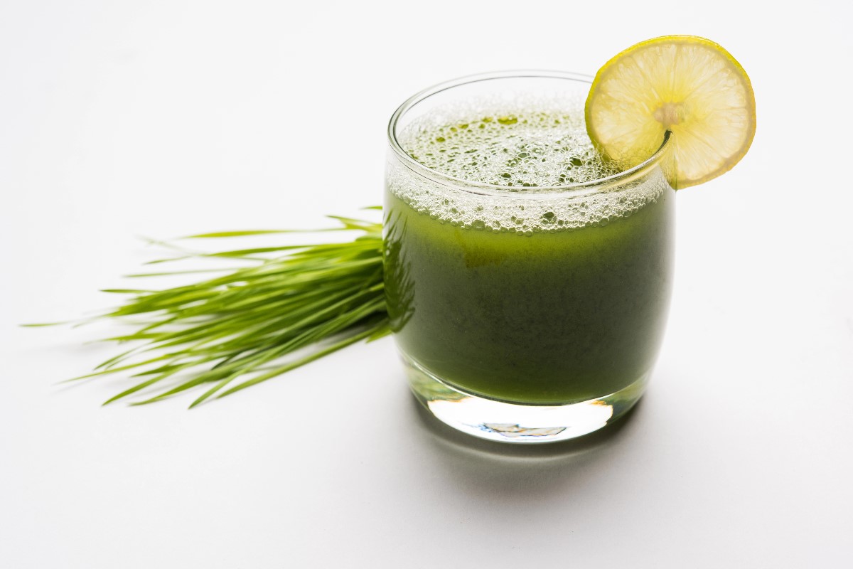 Wheatgrass shots