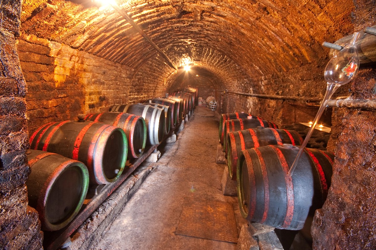 Wine cellar with humid air