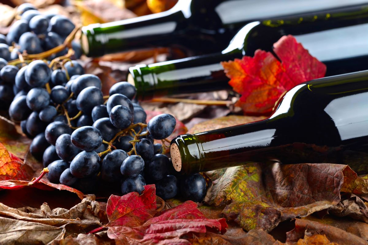 Wine low calorie