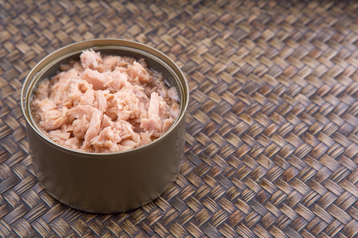 canned tuna