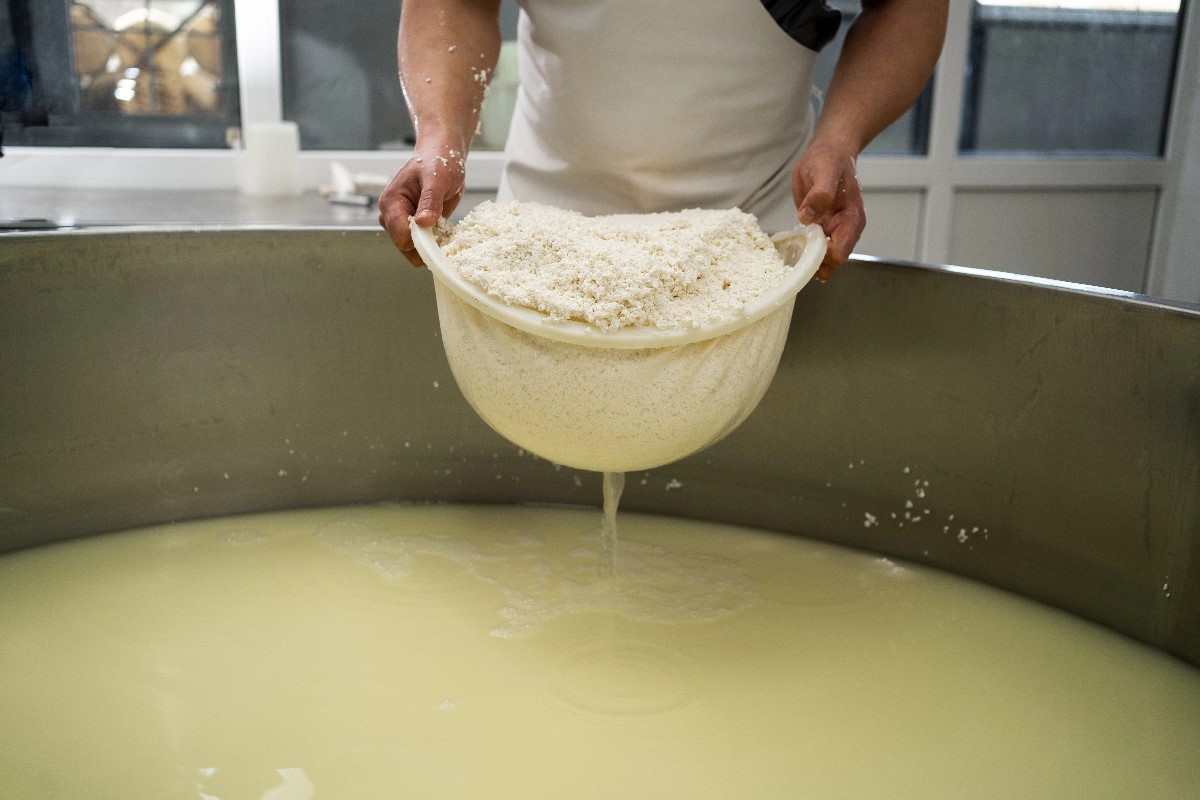 cheese production