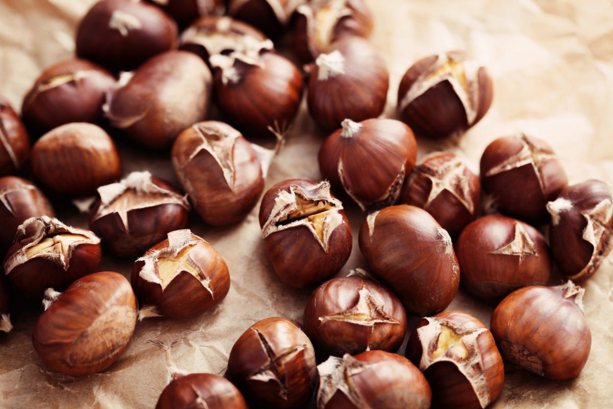 chestnuts