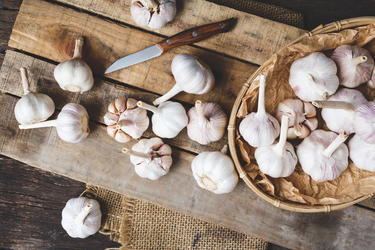 garlic overload