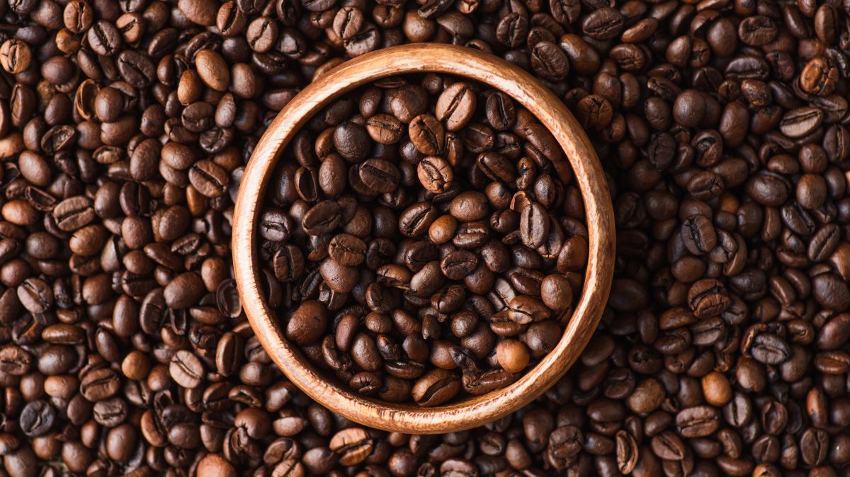 geisha coffee