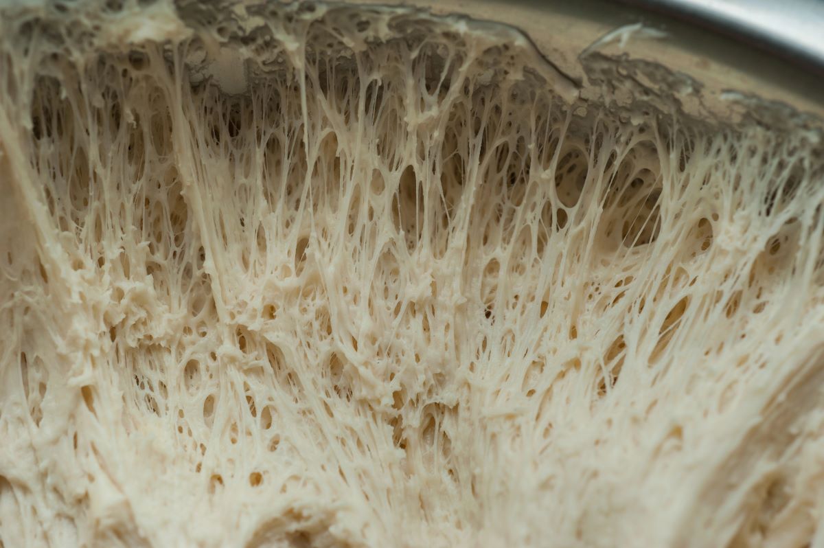 late fermentation