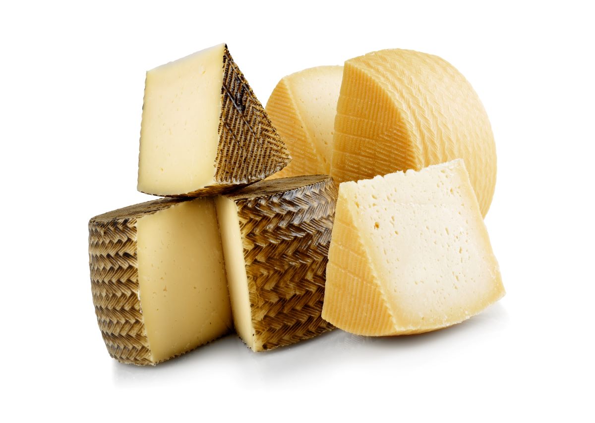 manchego travel