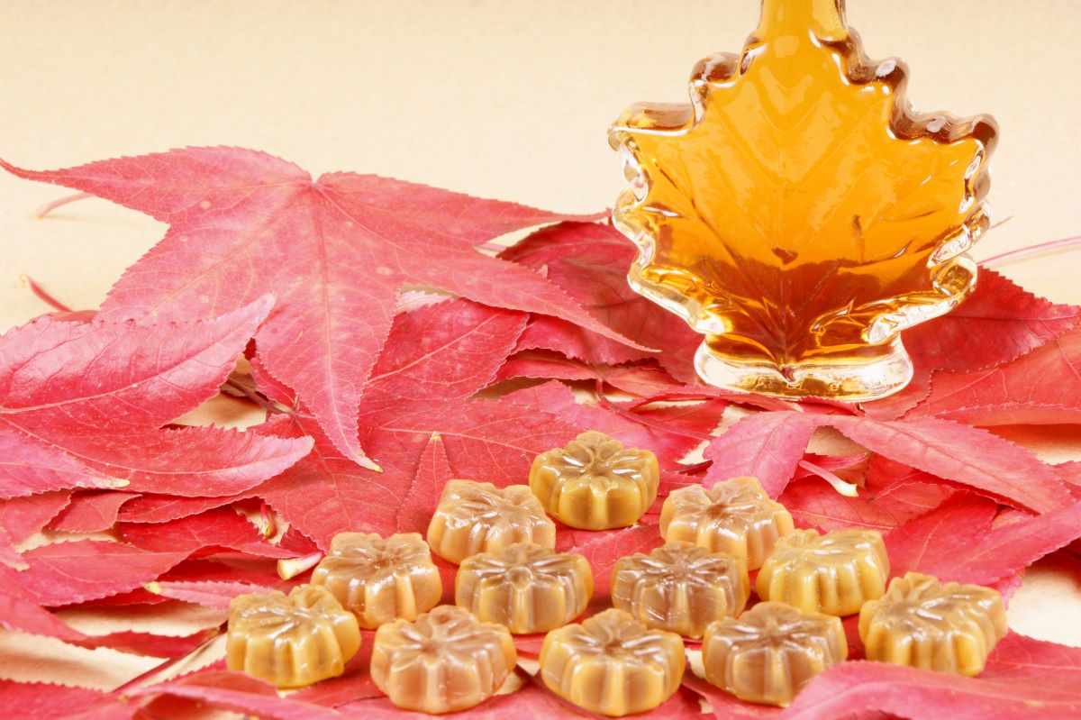 maple syrup candy
