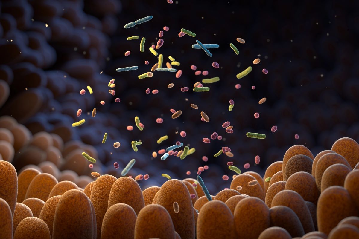 microbiome
