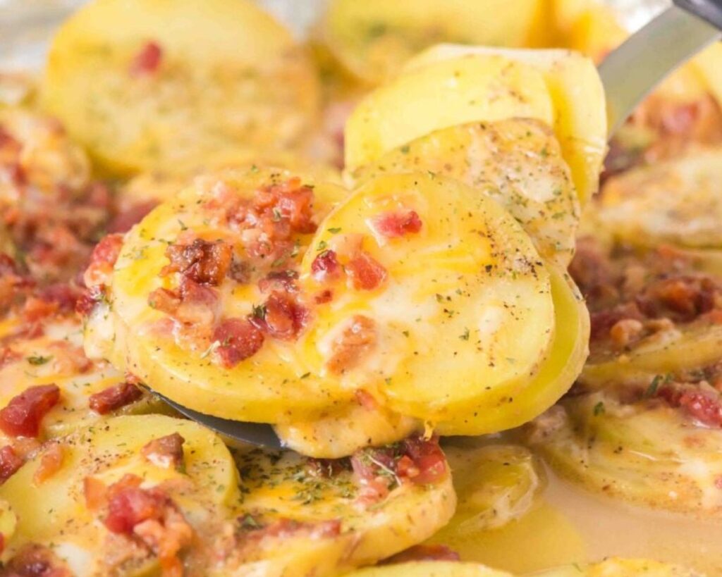 camping meal ideas
