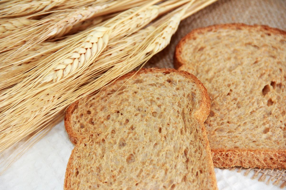 toasted rye