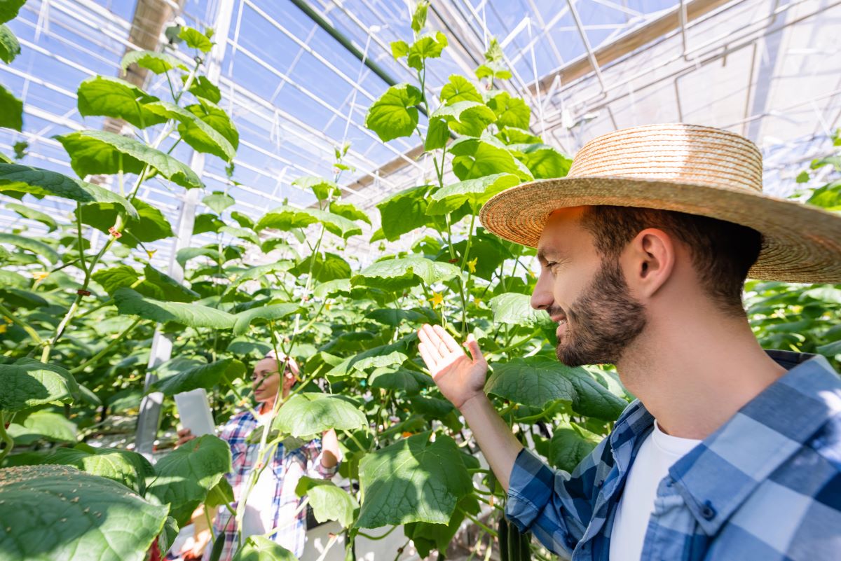 vermont growers