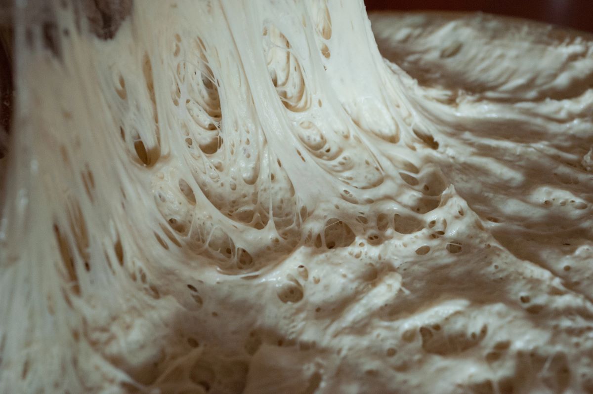 wild yeast