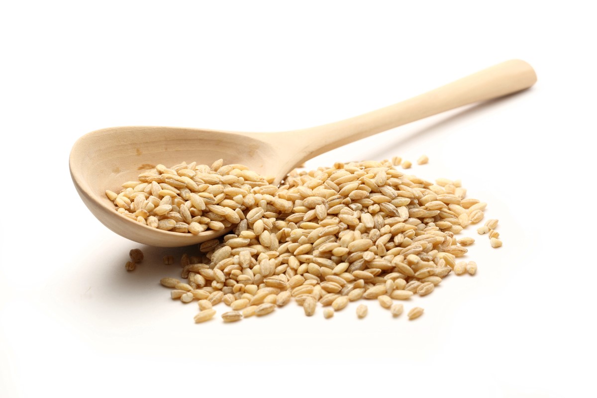 Barleys