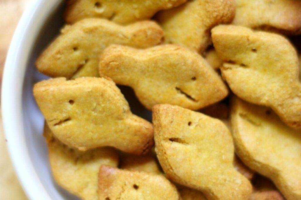 Vegan Goldfish by Strength and Sunshine