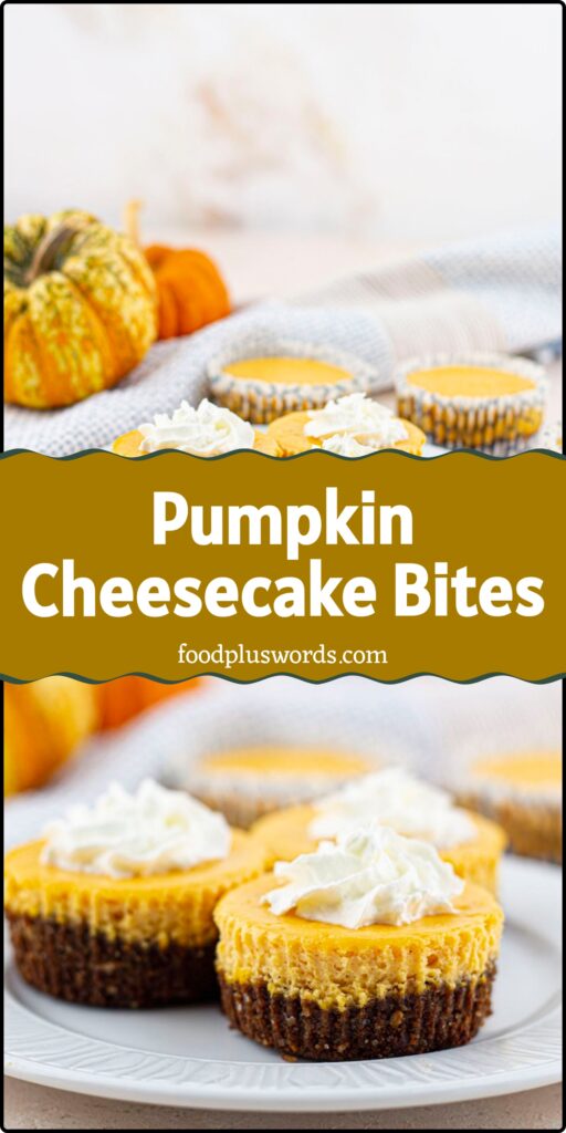 mini pumpkin cheesecake