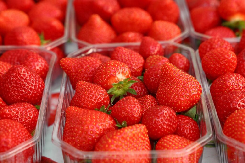 freezing strawberries