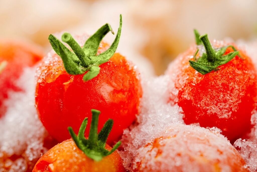 frozen tomatoes