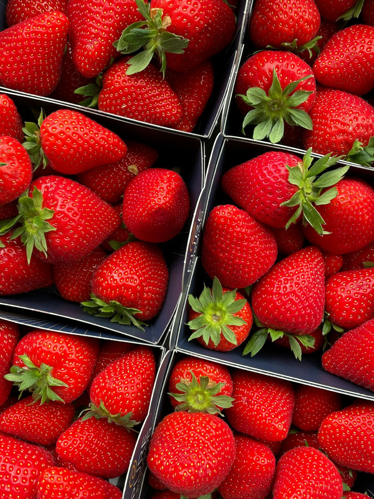 how to freeze strawberries at home