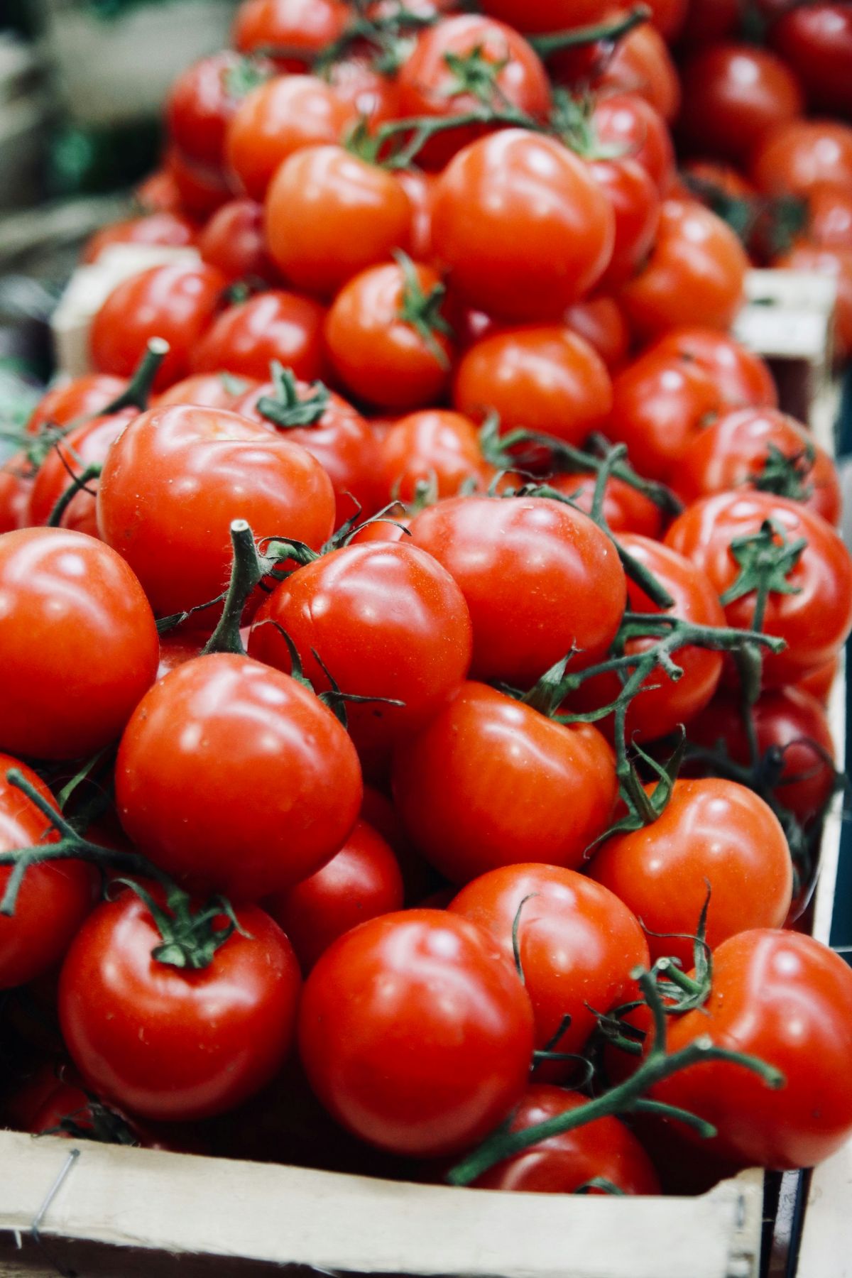 how to freeze tomatoes at home