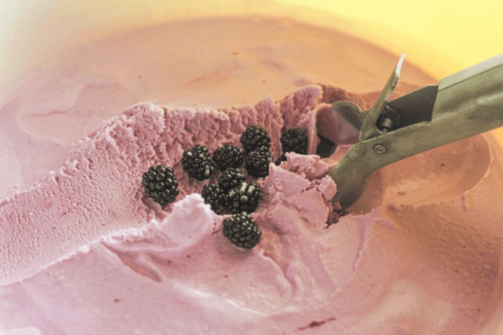 Blackberry Ice Cream by Natural Rooted Home