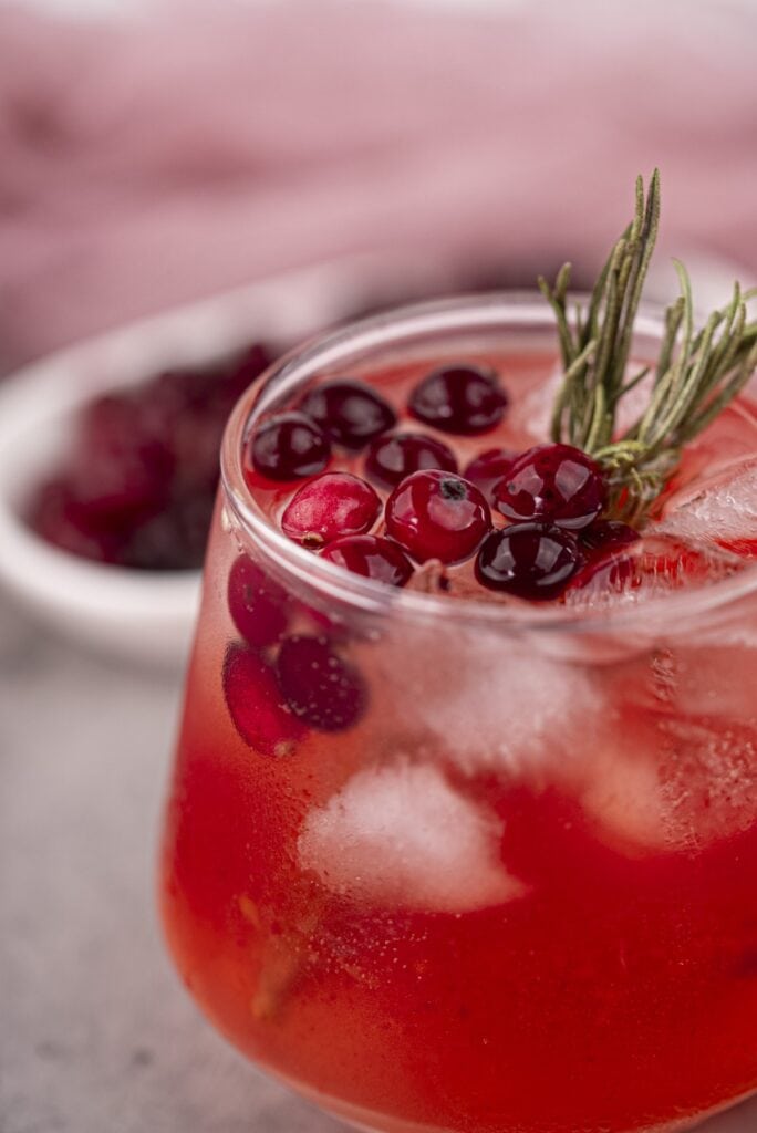 Cranberry And Gin Cocktail