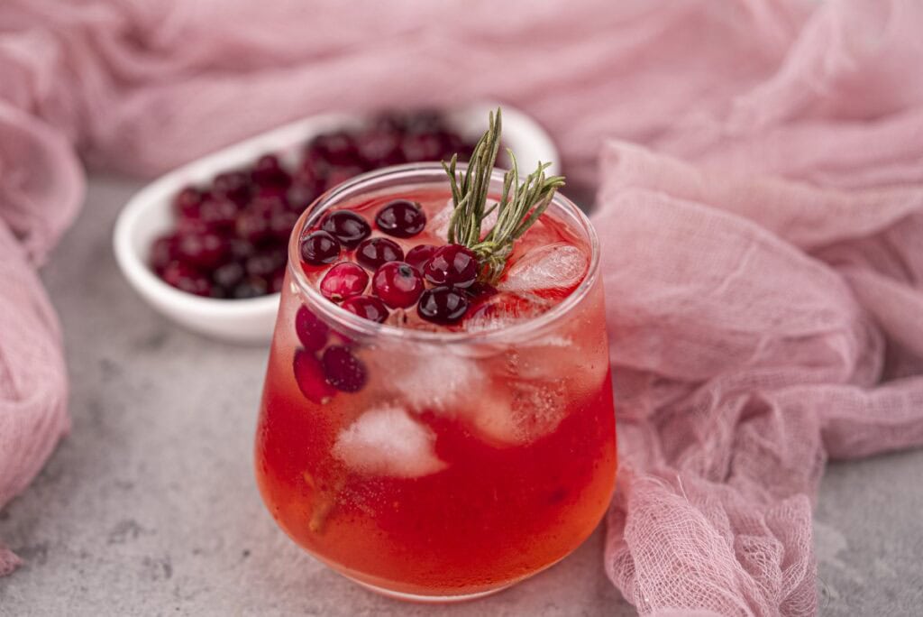 Cranberry Juice Gin Cocktail
