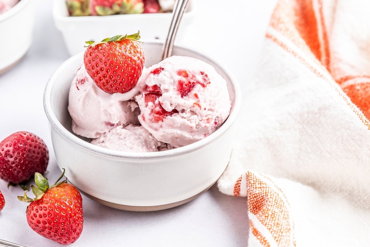 Ice Cream Maker Recipes
