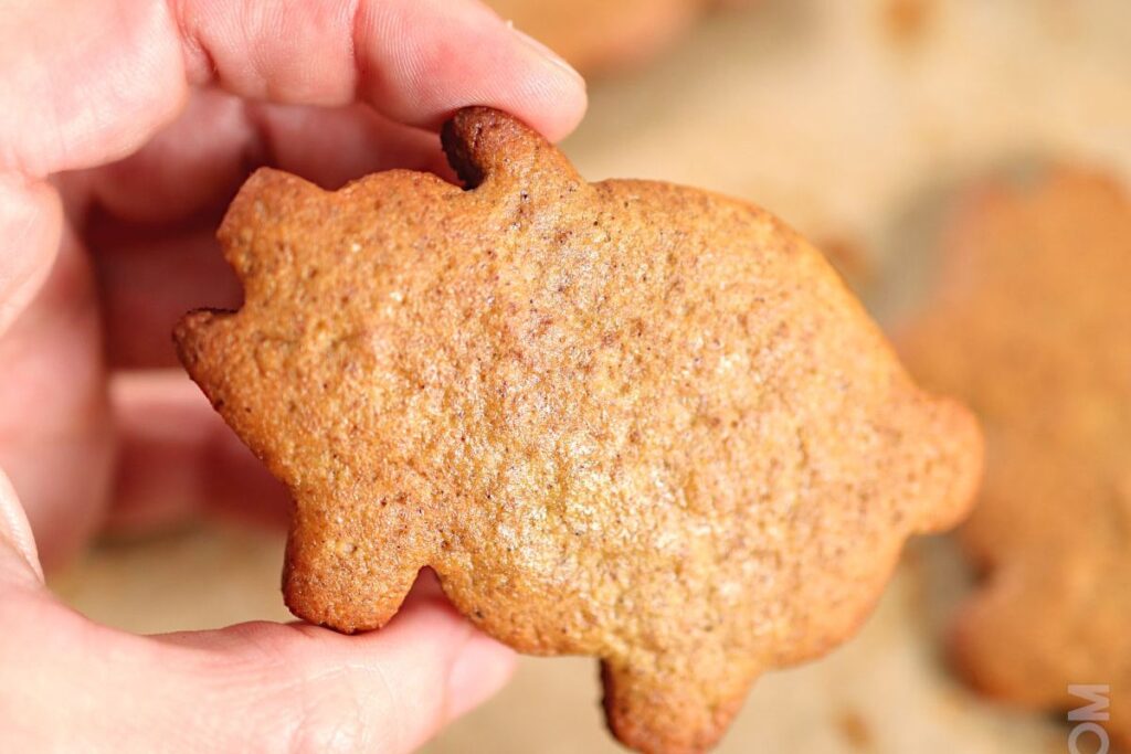 Marranitos by Like Hot Keto