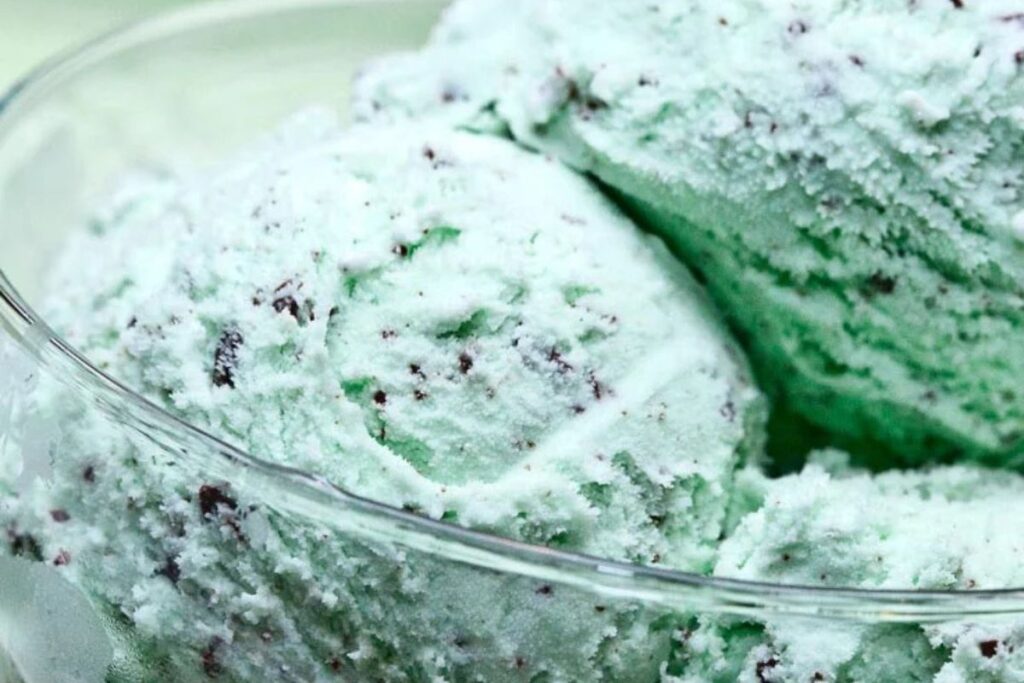 Mint Chocolate Chip Ice Cream by Chew Out Loud