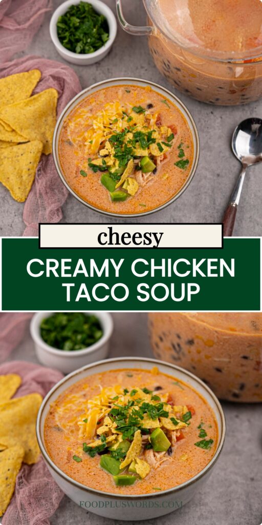 Chicken Taco Soup