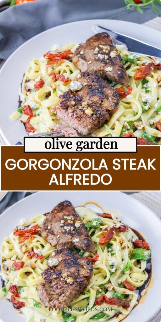 Steak Gorgonzola Alfredo Olive Garden Copycat