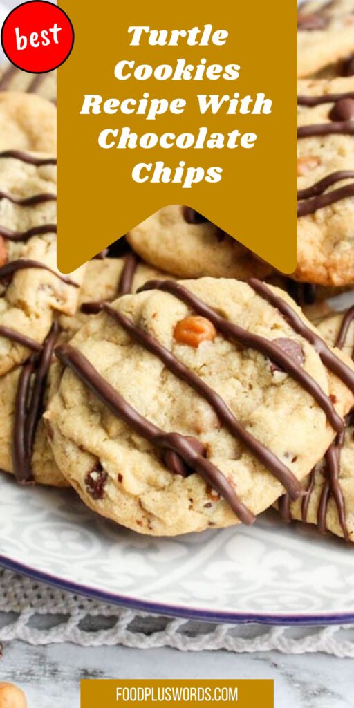 choco chip turtle cookies